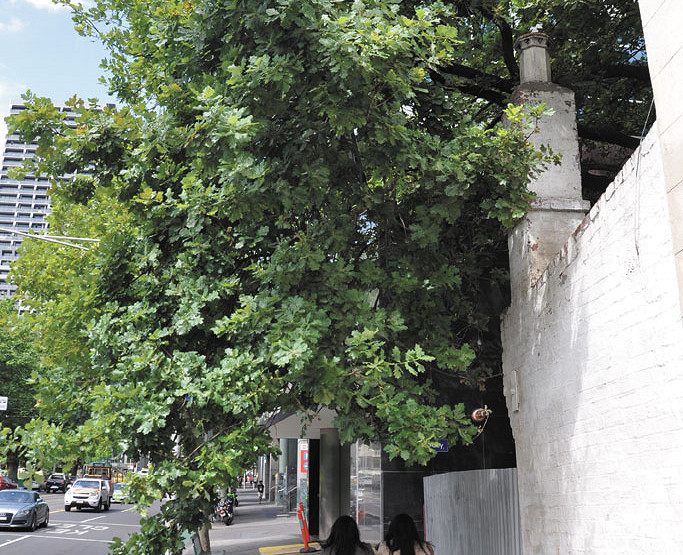 Exceptional trees protected