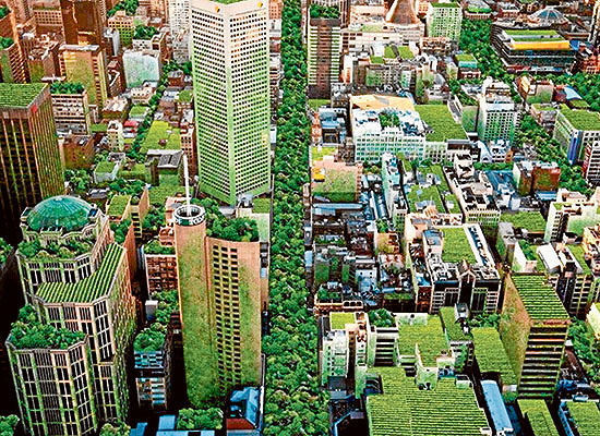 Council declares climate emergency